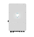 19.webp