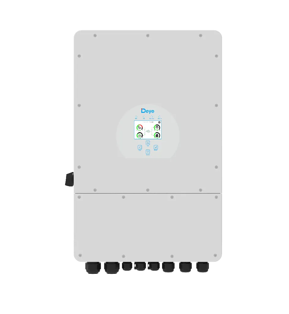 19.webp