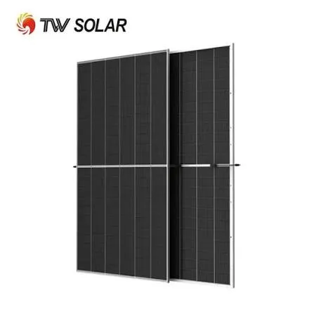Panneaux Solaires TW Solar Bifacial N-Type TOPCon (725W)