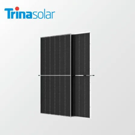 Panneaux Solaires Trina Solar Monofacial P-Type Mono PERC (650W)