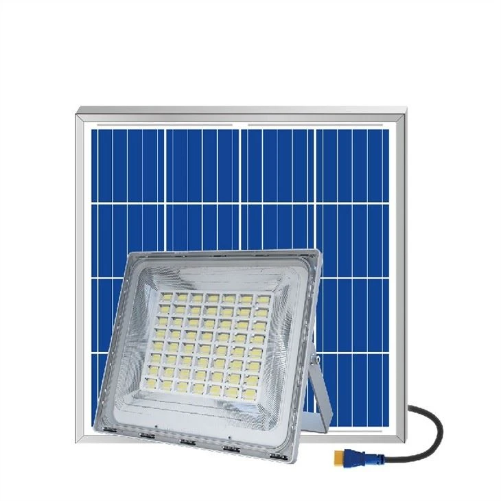 [PROJ-BLEU-200W] Les Projecteurs solaire LD BLUE CARBON (200W)